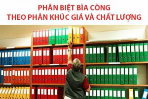 Phân loại bìa còng theo phân khúc giá và chất lượng